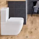 Close Coupled Rimless Toilet with Soft Close Seat - Grohe Euro 3