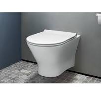 Roca Nexo wall-mounted washdown toilet