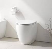 toilet porcelain